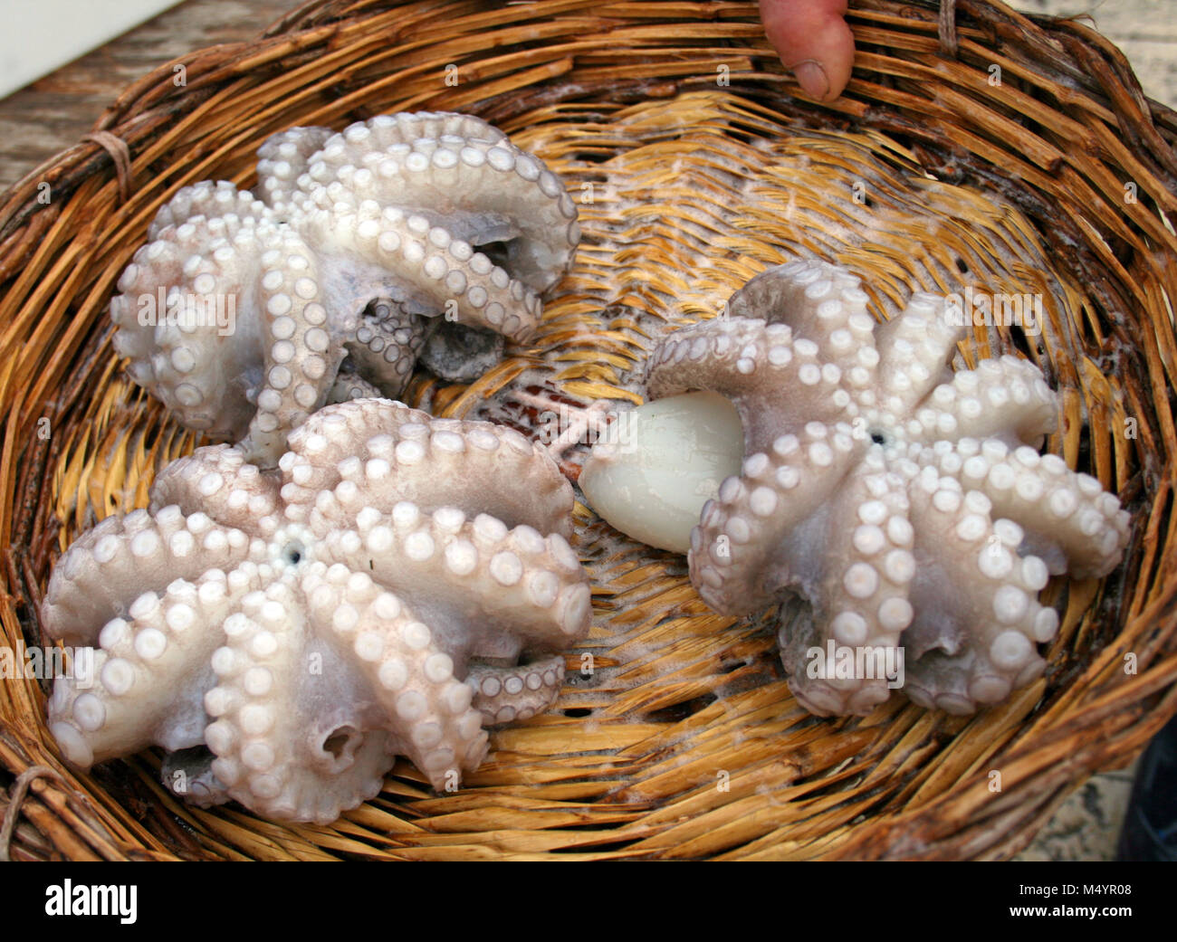 Fishing wicker basket fish hires stock photography and images Alamy