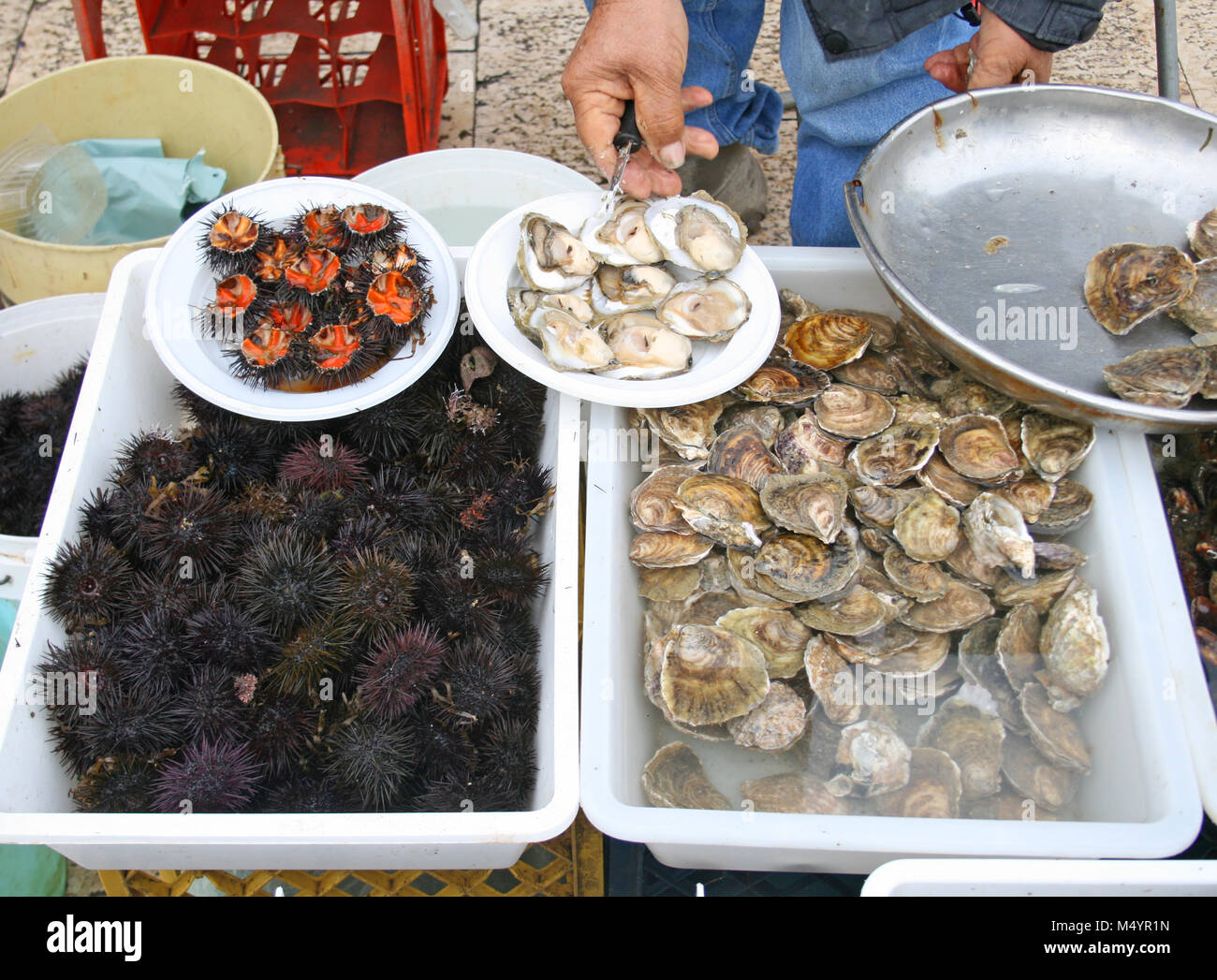Local fisherman selling sea urchins and oysters ready to eat in an open air street food market on Bari promenade, Puglia, Italy Stock Photo