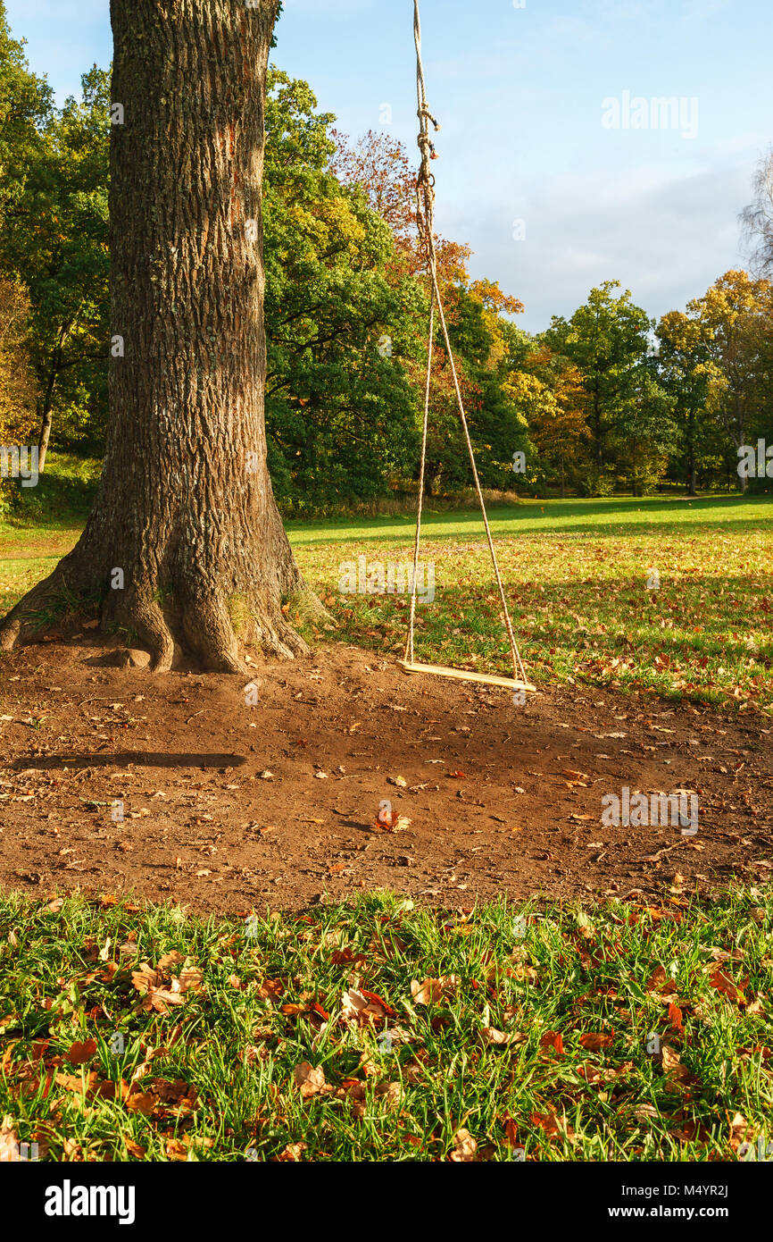 Rope swing in a tree Stock Photo