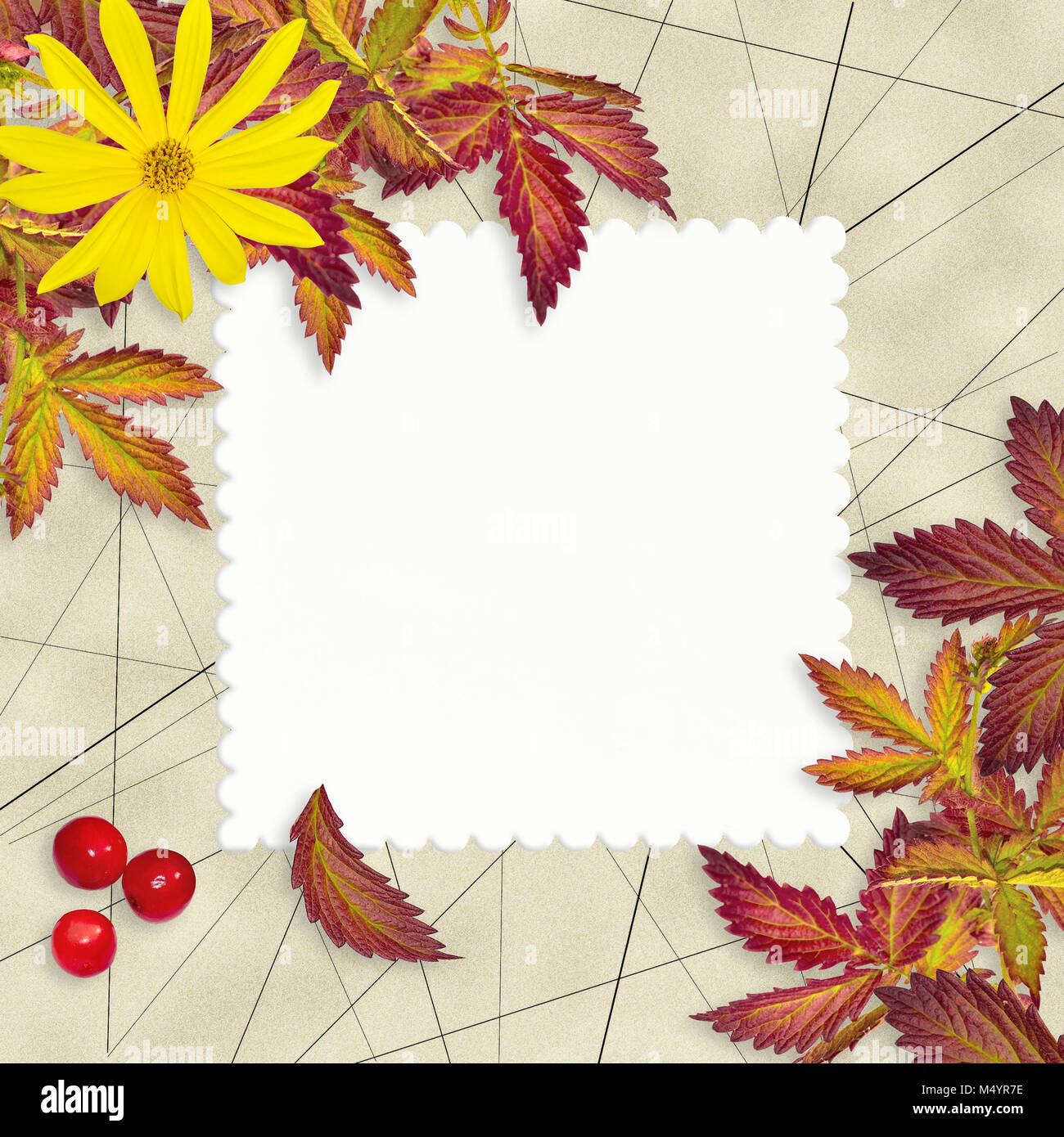 Vintage grunge autumn background with empty card Stock Photo