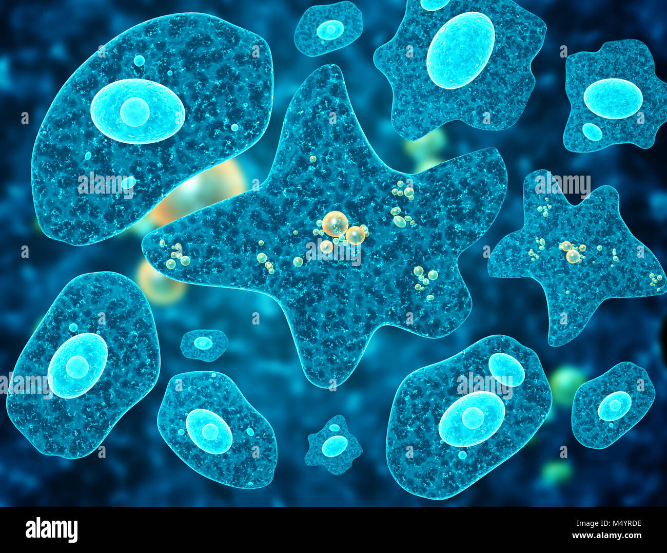 Amoeba On Blue Background Stock Photo - Download Image Now - Amoeba, 2015,  Bacterium - iStock