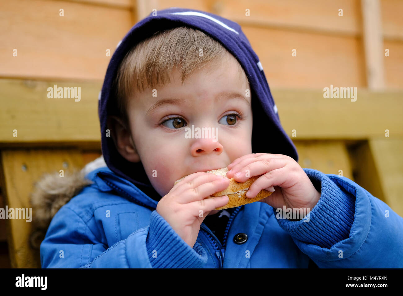 18mths hires stock photography and images Alamy