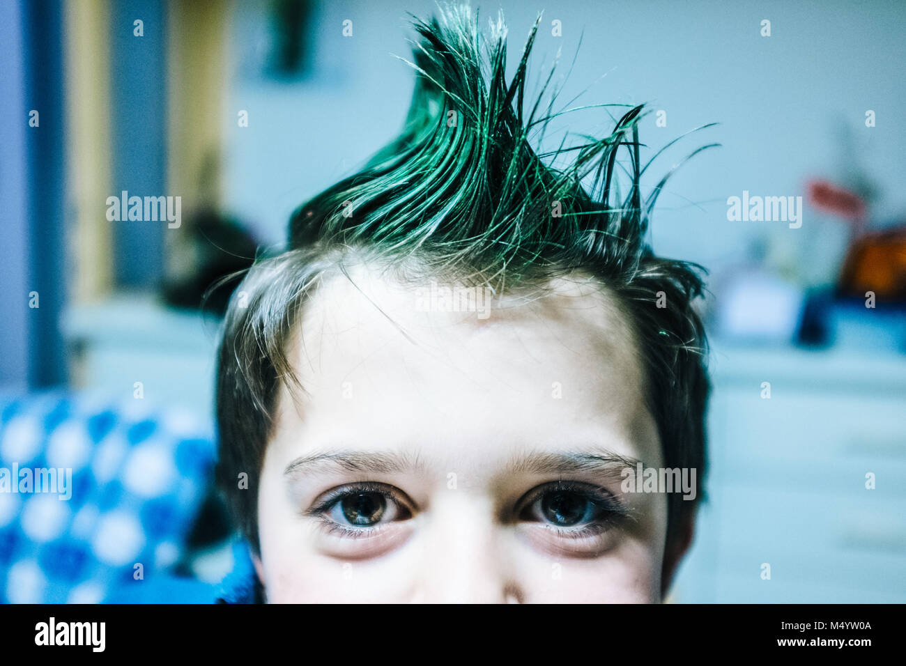 portrait of 9 year old boy at home with crest of green colored hair Stock Photo