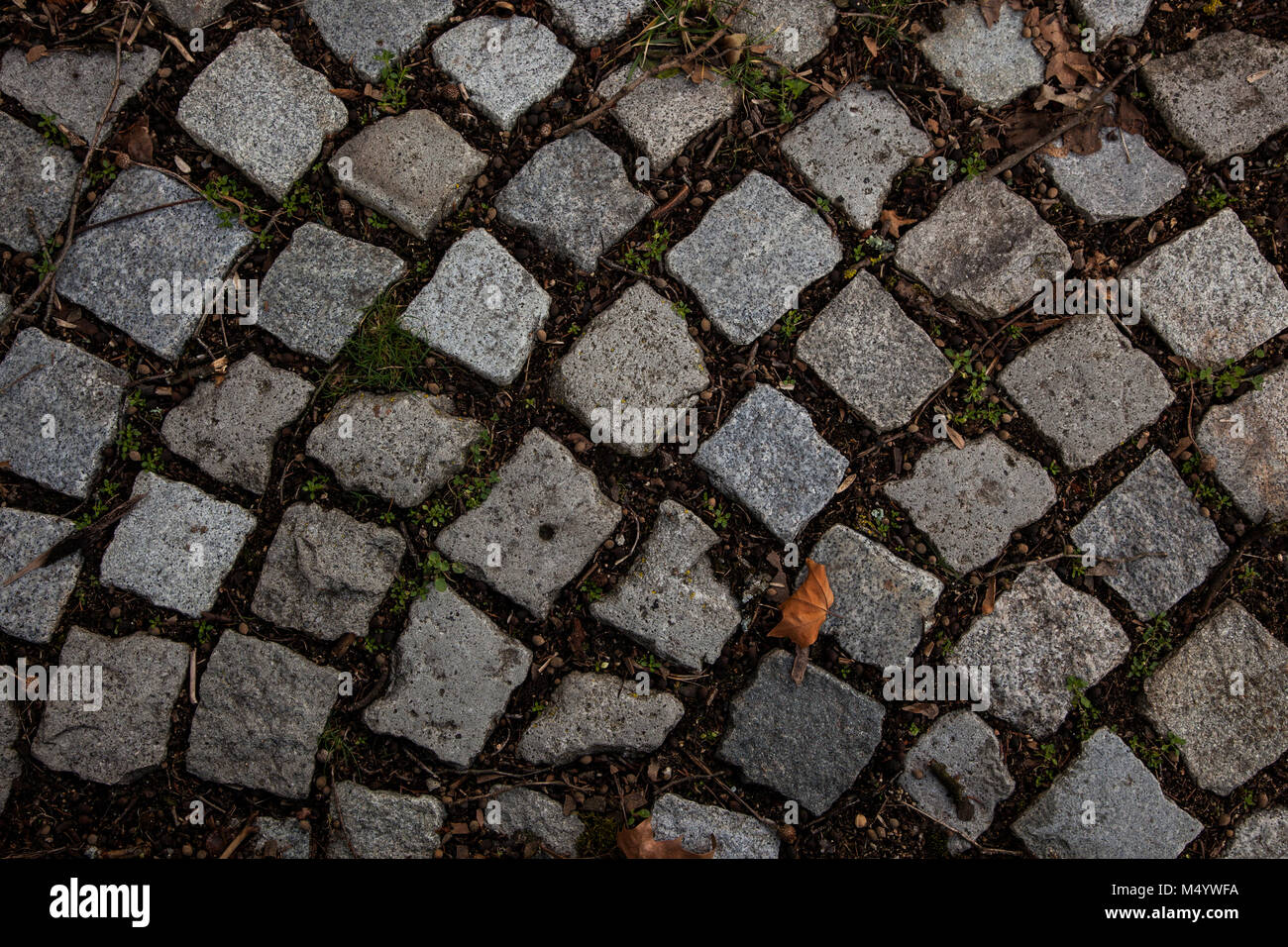 Stone pavement texture. Granite cobble stoned pavement background. Abstract background of old cobblestone pavement close-up. Seamless texture. Prague Stock Photo
