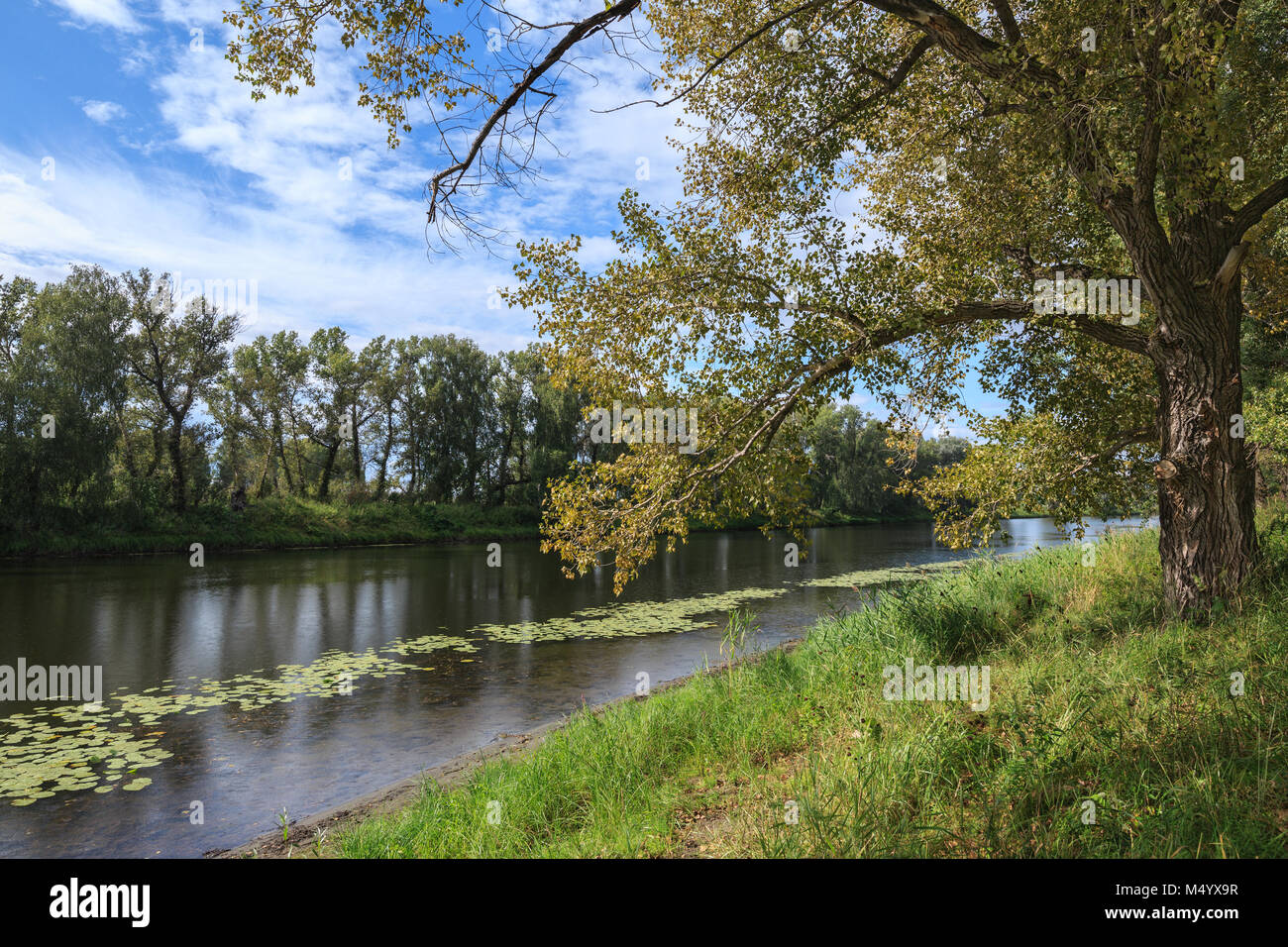Summer landscape hi-res stock photography and images - Alamy
