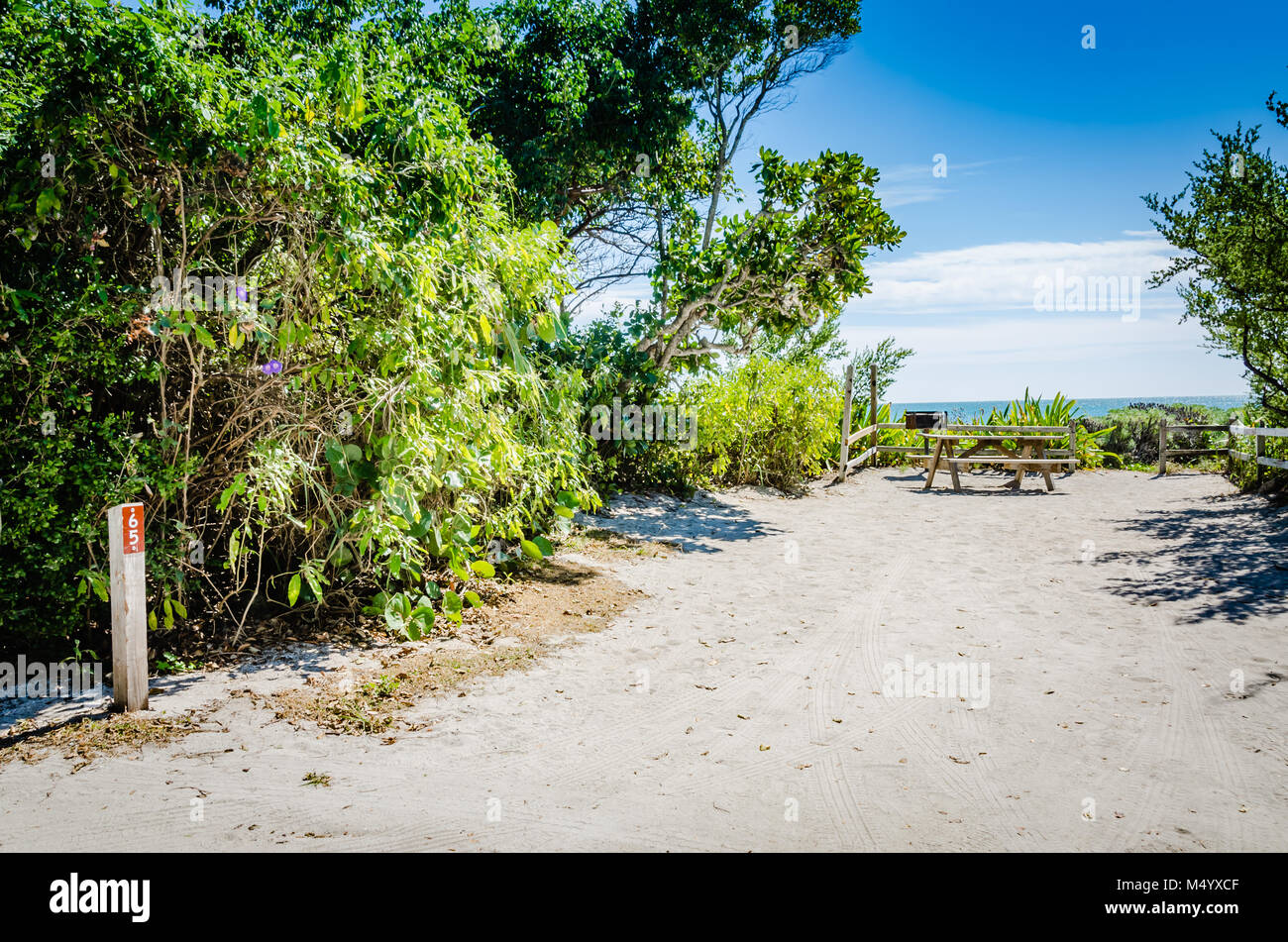 Sandy camp site by the sea at Bahia Honda State Park in the Florida keys. Stock Photo