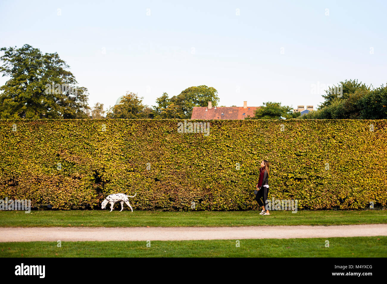 Woman walking with her dog in Kongens Have, (Kings Garden) in Copenhagen, Denmark Stock Photo
