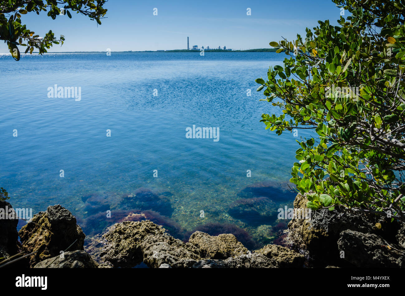 View of Turkey Point Power Station from the shoreline at Biscayne National Park in the northern