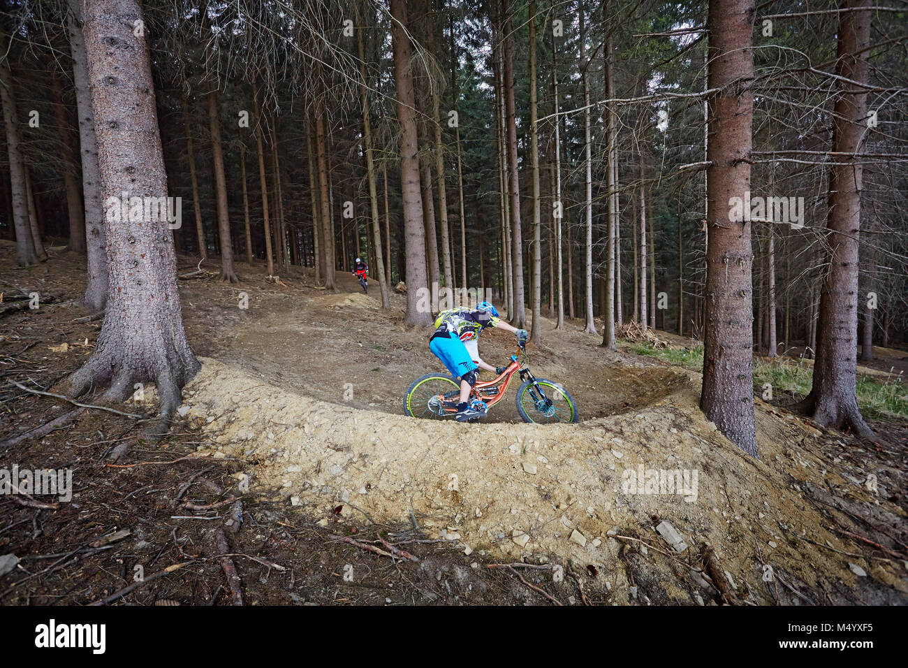 Mountain biker riding on trail in forest Stock Photo