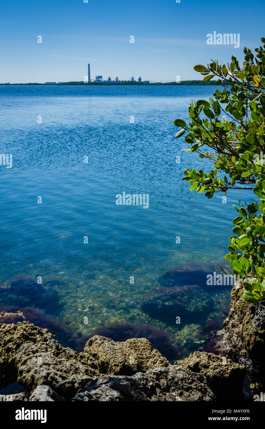 View of Turkey Point Power Station from the shoreline at Biscayne