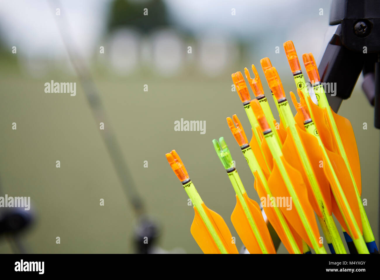 Set of archery arrows Stock Photo Alamy