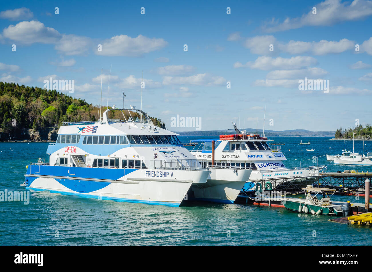 Whale watching tour boats docked at Bar Harbor, Maine Stock Photo Alamy