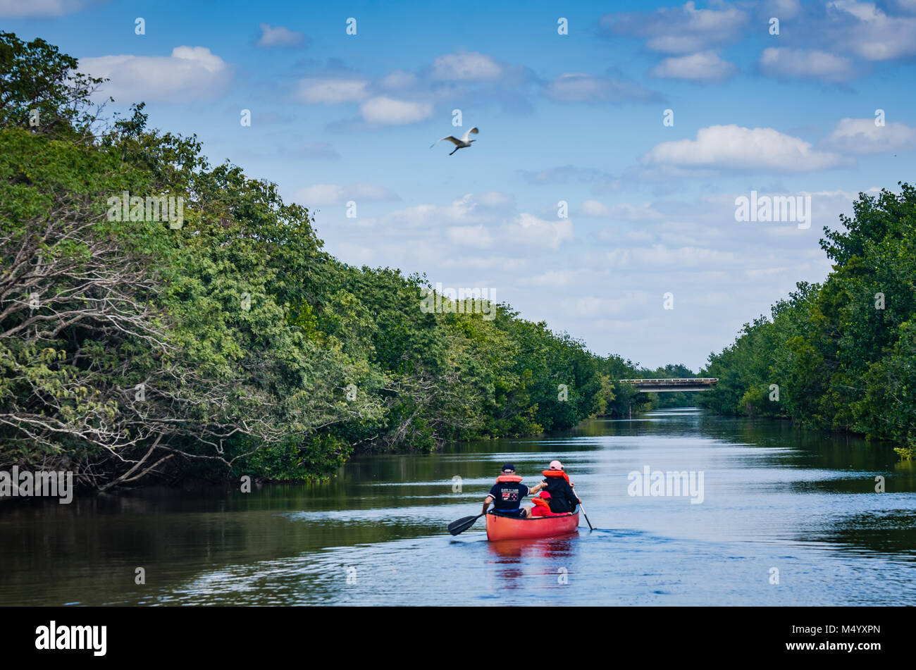 Family rows a red canoe on Biscayne Bay Lagoon at Biscayne National Park in Florida. Stock Photo