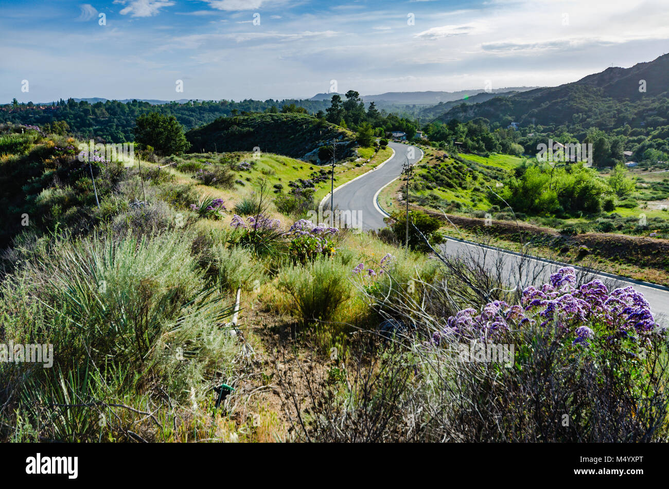 Winding asphalt road amidst spring blooms on green hills, canyons, and mountains in Orange County, California. Stock Photo
