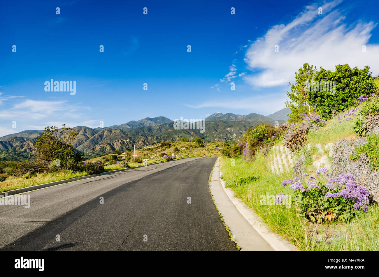 Winding asphalt road amidst spring blooms on hills, canyons, and mountains in Orange County, California. Stock Photo