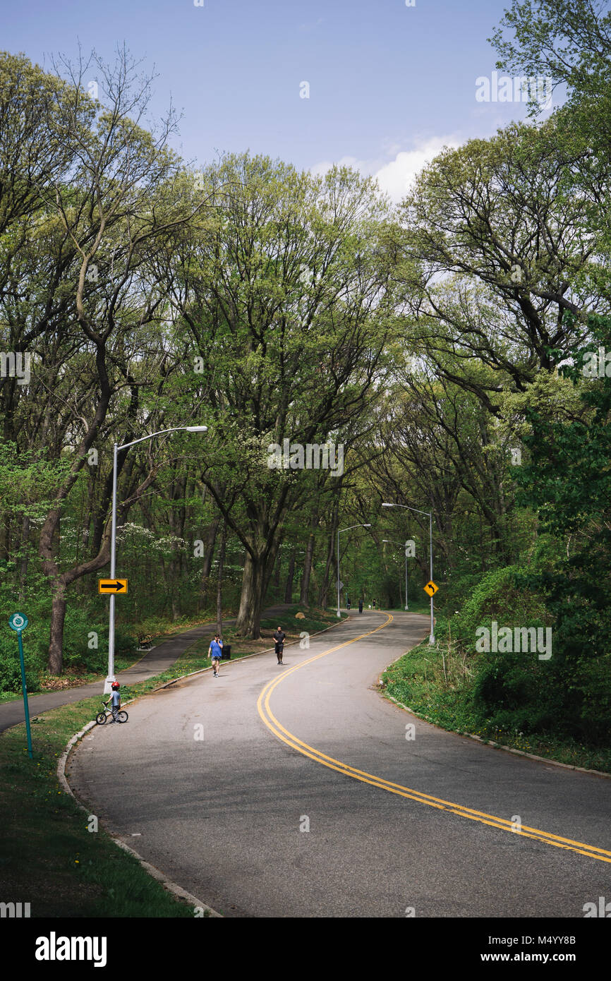 People running, walking and biking on road through Forest Park, Queens, New York City, USA Stock Photo
