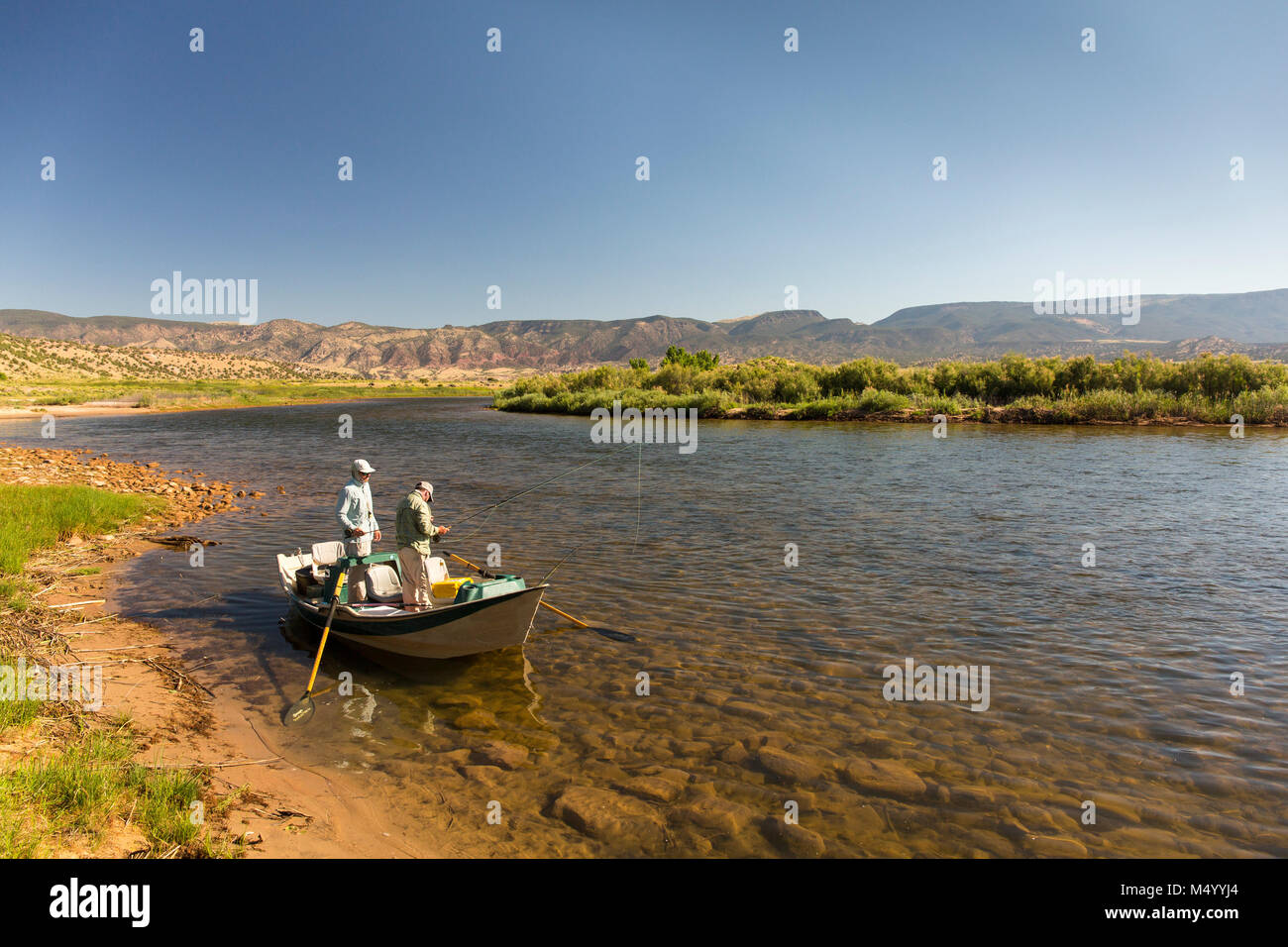 Two men fly fishing in rowboat on bank of Green River, Dutch John Stock Photo - Alamy