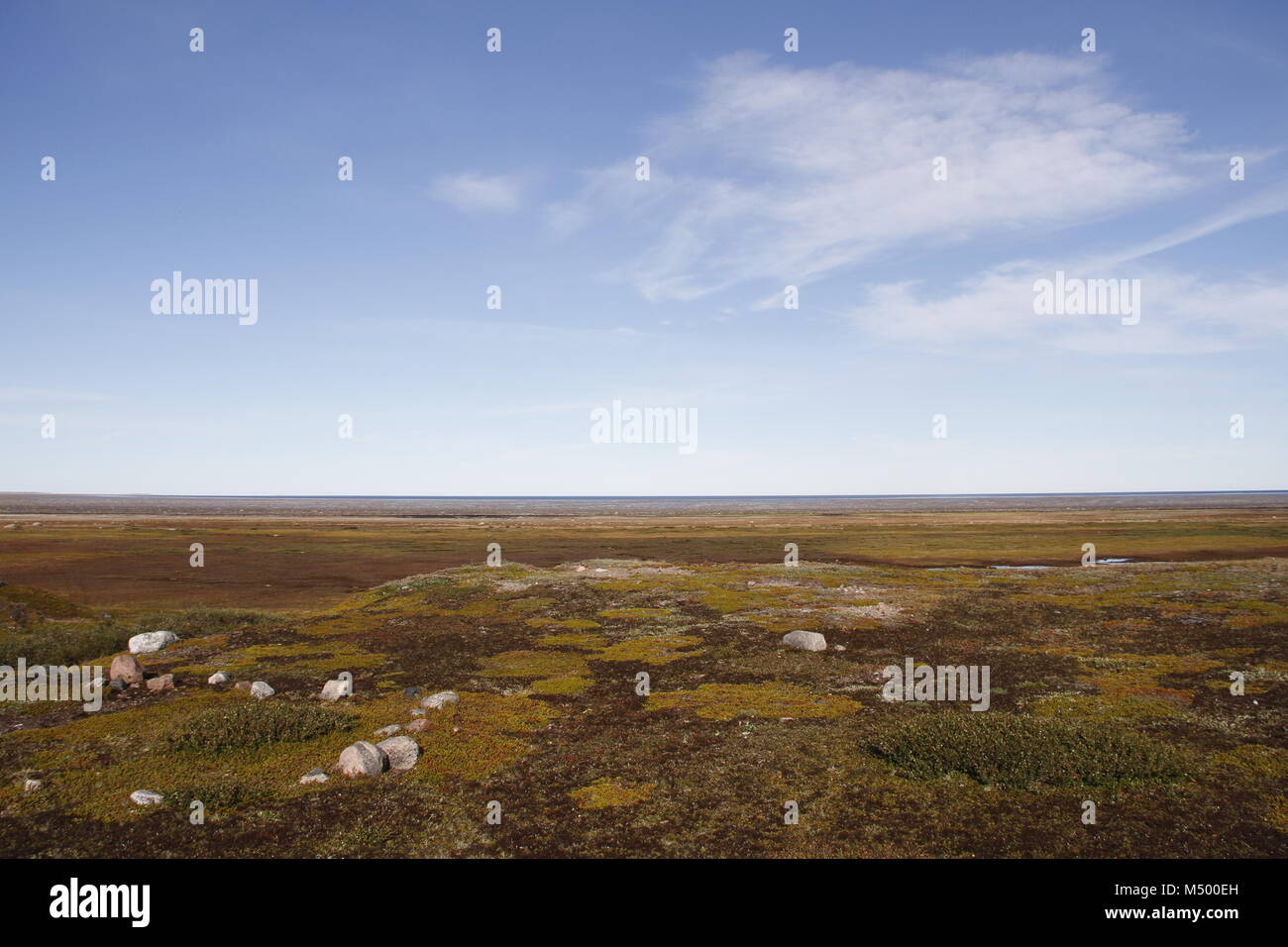 Flat arctic landscape in the summer with blue skies, near Arviat
