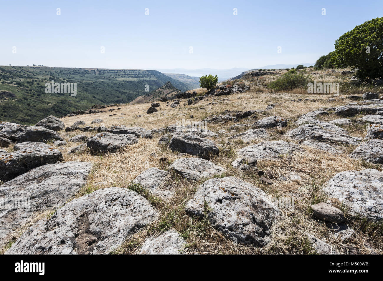 Golan Heights in Israel Stock Photo Alamy