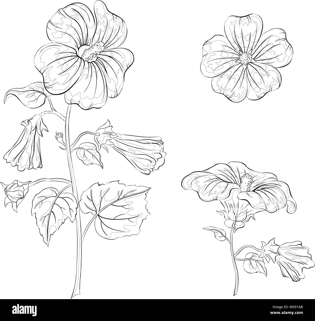 Flowers mallow, contours Stock Vector