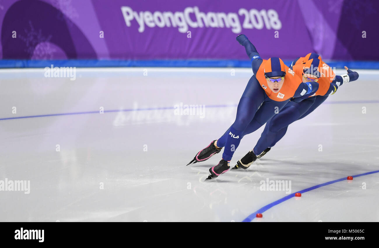 Pyeongchang, South Korea. 19th Feb, 2018. Team of the Netherlands compete during ladies' team persuit quarterfinal of speed skating at 2018 PyeongChang Winter Olympic Games at Gangneung Oval, Gangneung, South Korea, Feb. 19, 2018. Credit: Wang Haofei/Xinhua/Alamy Live News Stock Photo