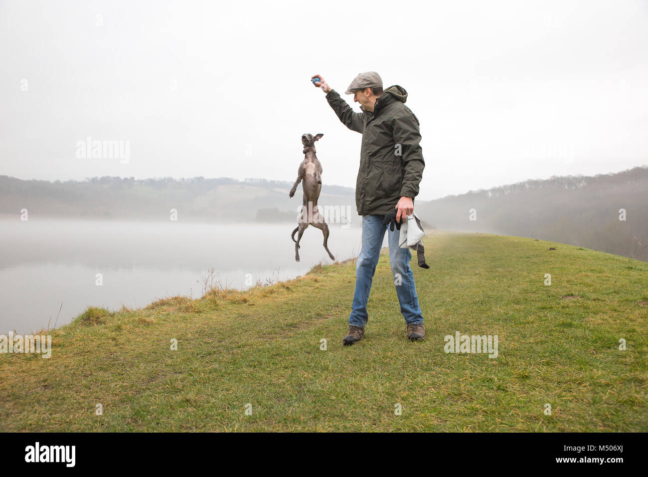 Flat cap and whippet hires stock photography and images Alamy