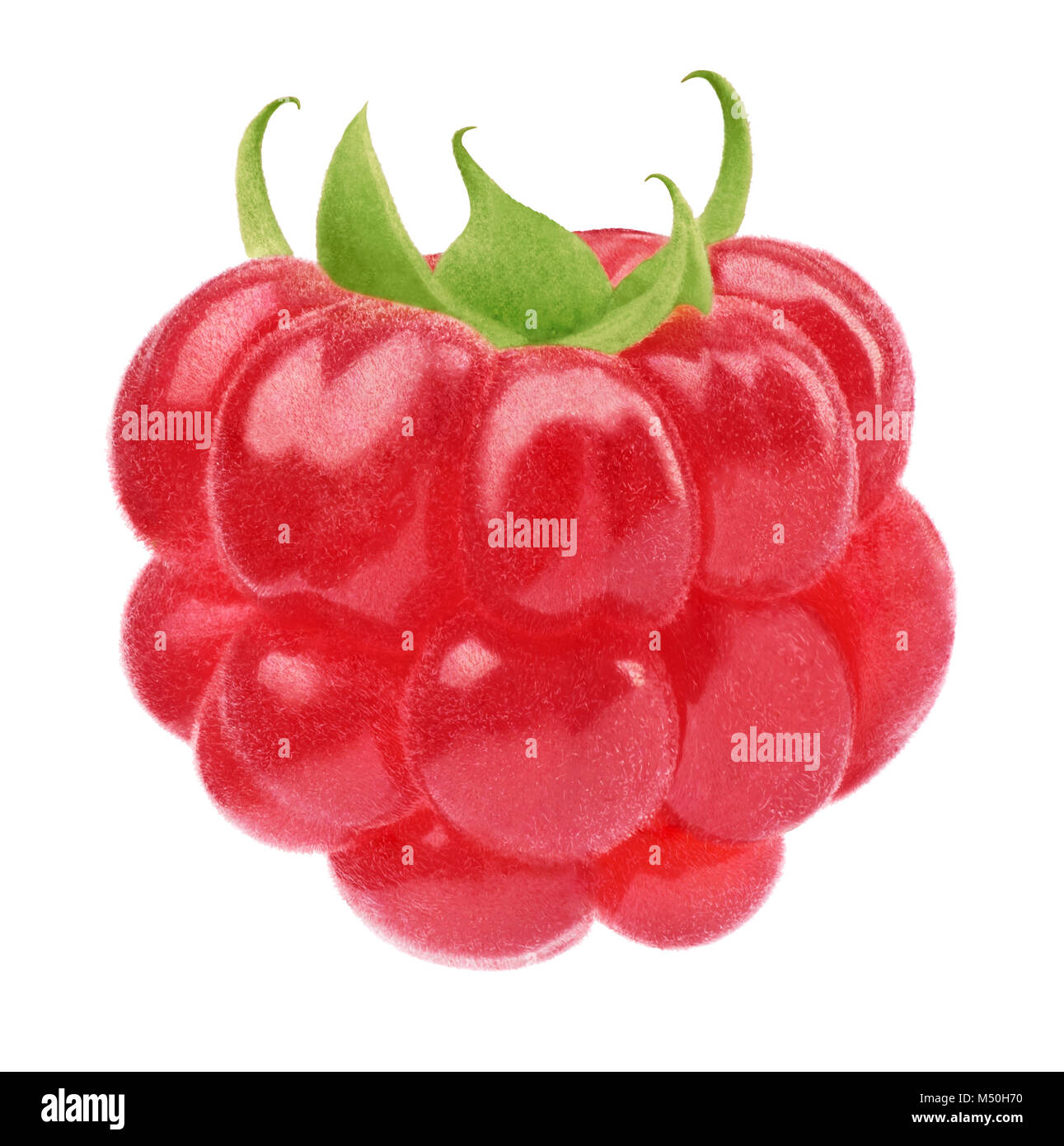 Ripe raspberry isolated Stock Photo - Alamy