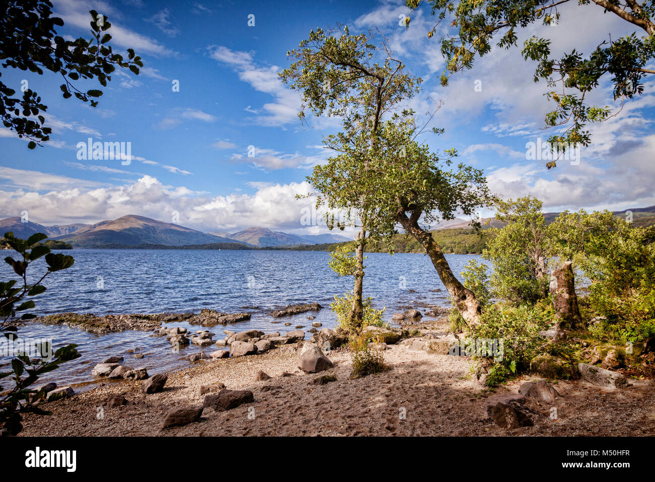 A small beach beside Loch Lomond from the West Highland Way, Stirlingshire, Scotland, UK. Stock Photo