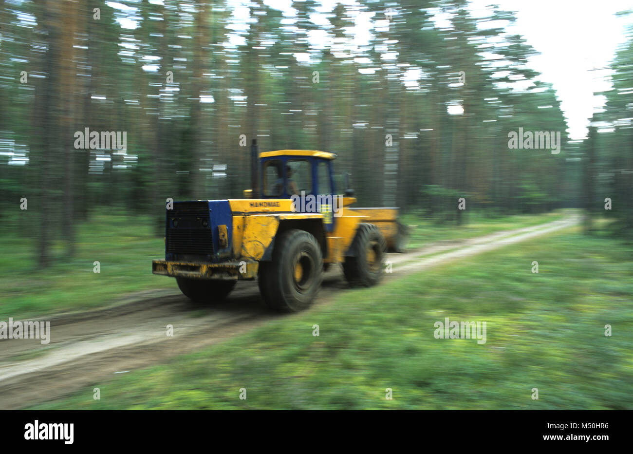 A works vehicle travelling along a forestry track in the Augustowska forest in the Suwalszczyzna region of north east Poland August 2007 Stock Photo
