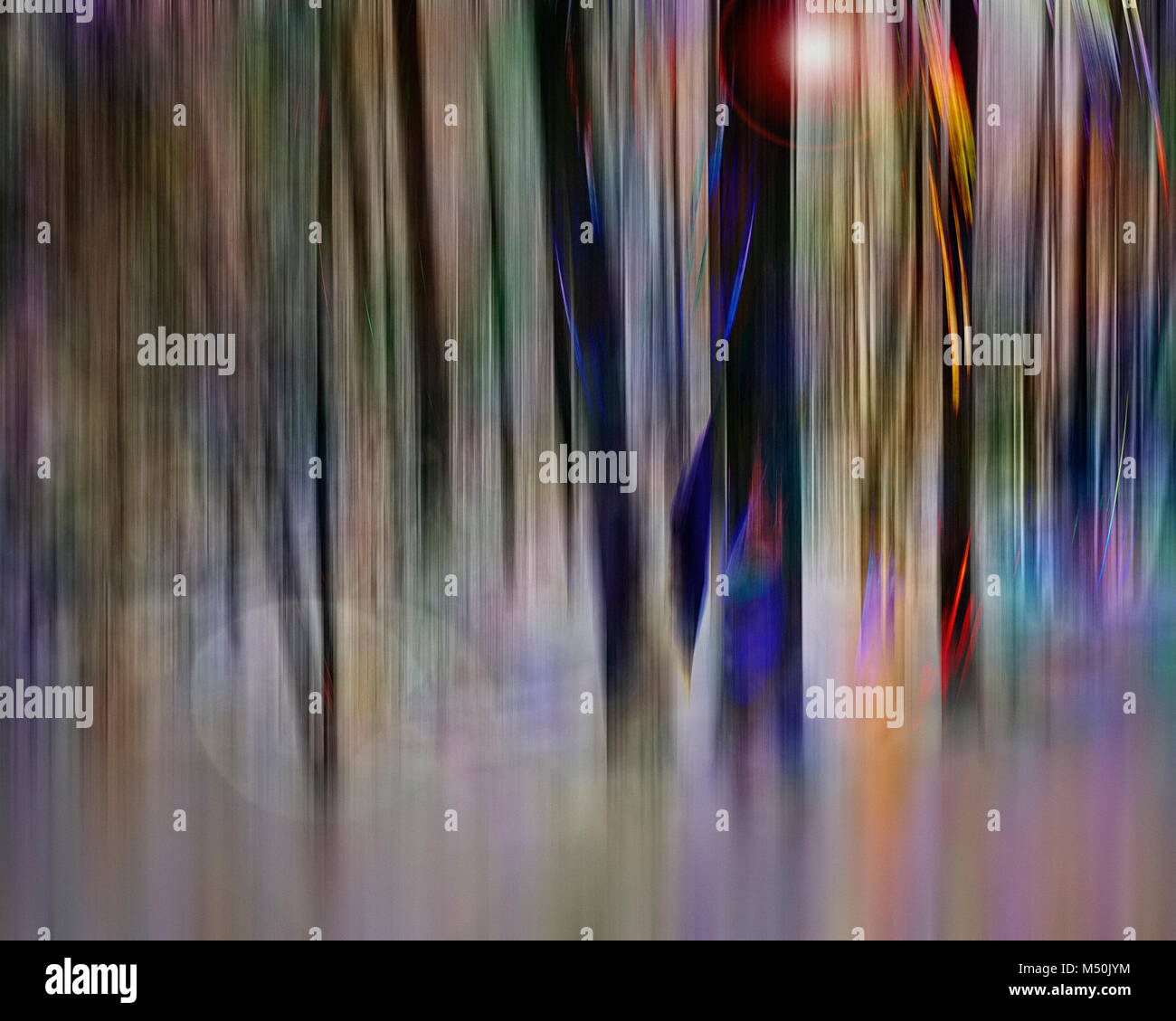 FINE ART: Forest of Infinity Stock Photo - Alamy