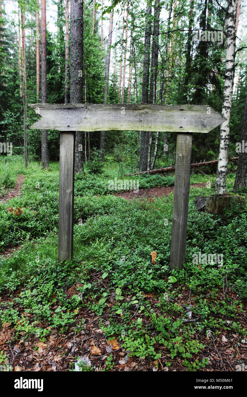empty wooden pointer in the forest Stock Photo - Alamy