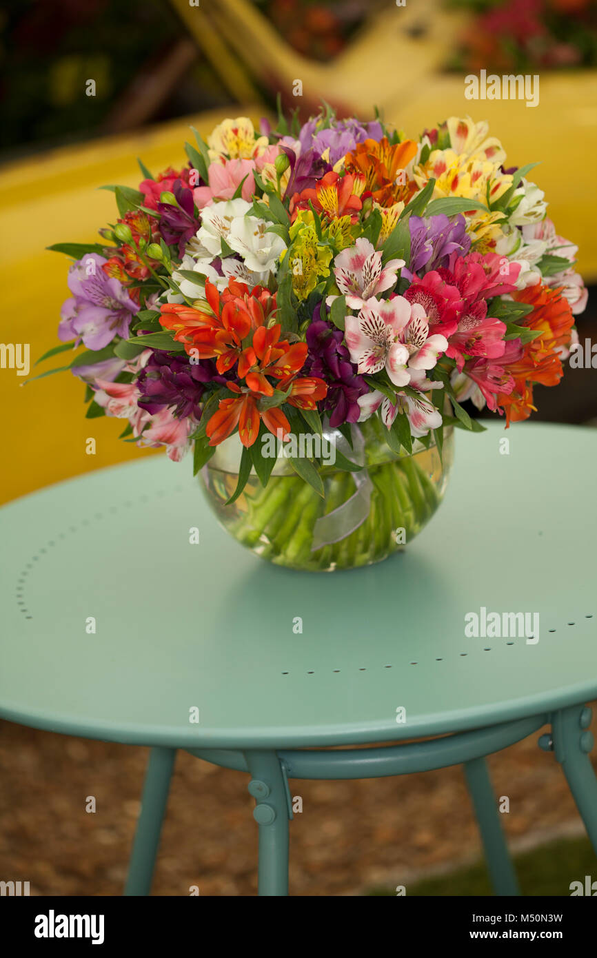Mixed alstroemerias (Peruvian lilies) arranged in a goldfish bowl, placed on a green painted table Stock Photo