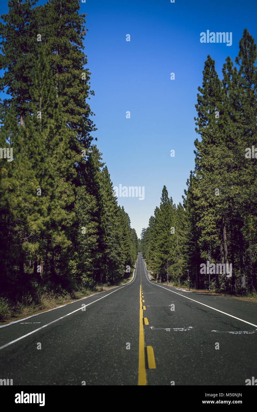 Yosemite National Park road through forest USA Nationalpark Stock Photo