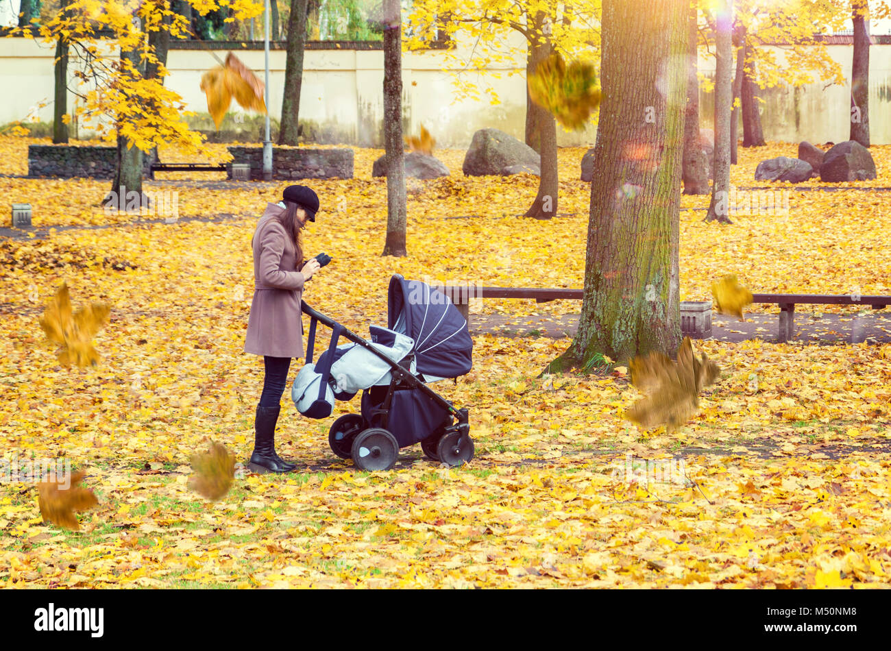 Young adult mother with baby pram checking her mobile phone in autumn park with yellow maple leaves in Vilnius, Stock Photo