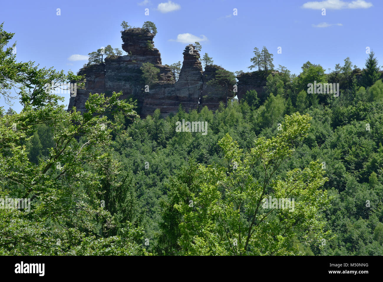 Palatine forest rocks hi-res stock photography and images - Alamy