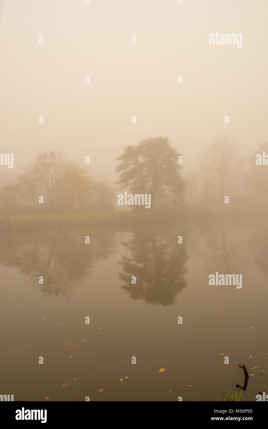 fog on the river Stock Photo - Alamy