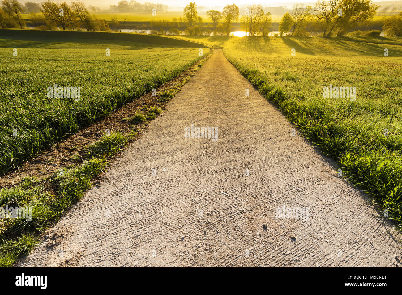 Irrigation canal at sunrise Stock Photo Alamy