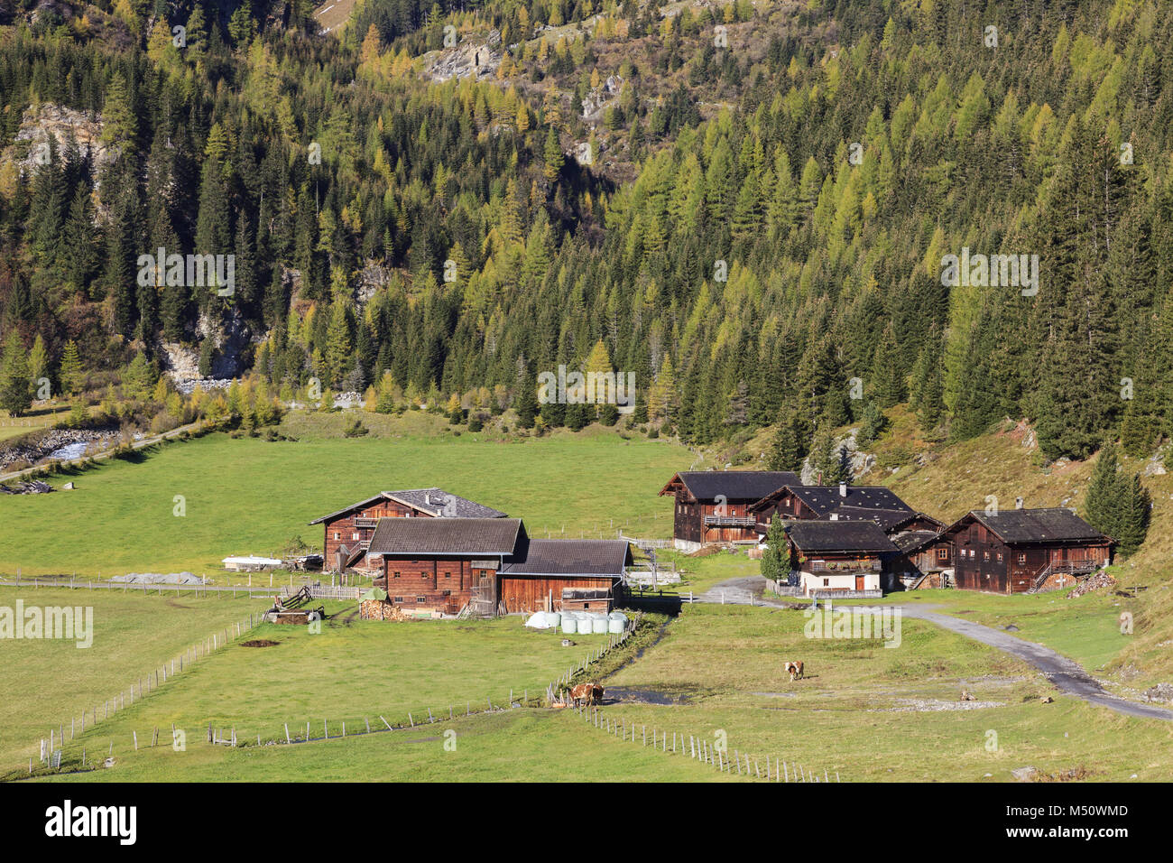 Alp farm in a valley Stock Photo