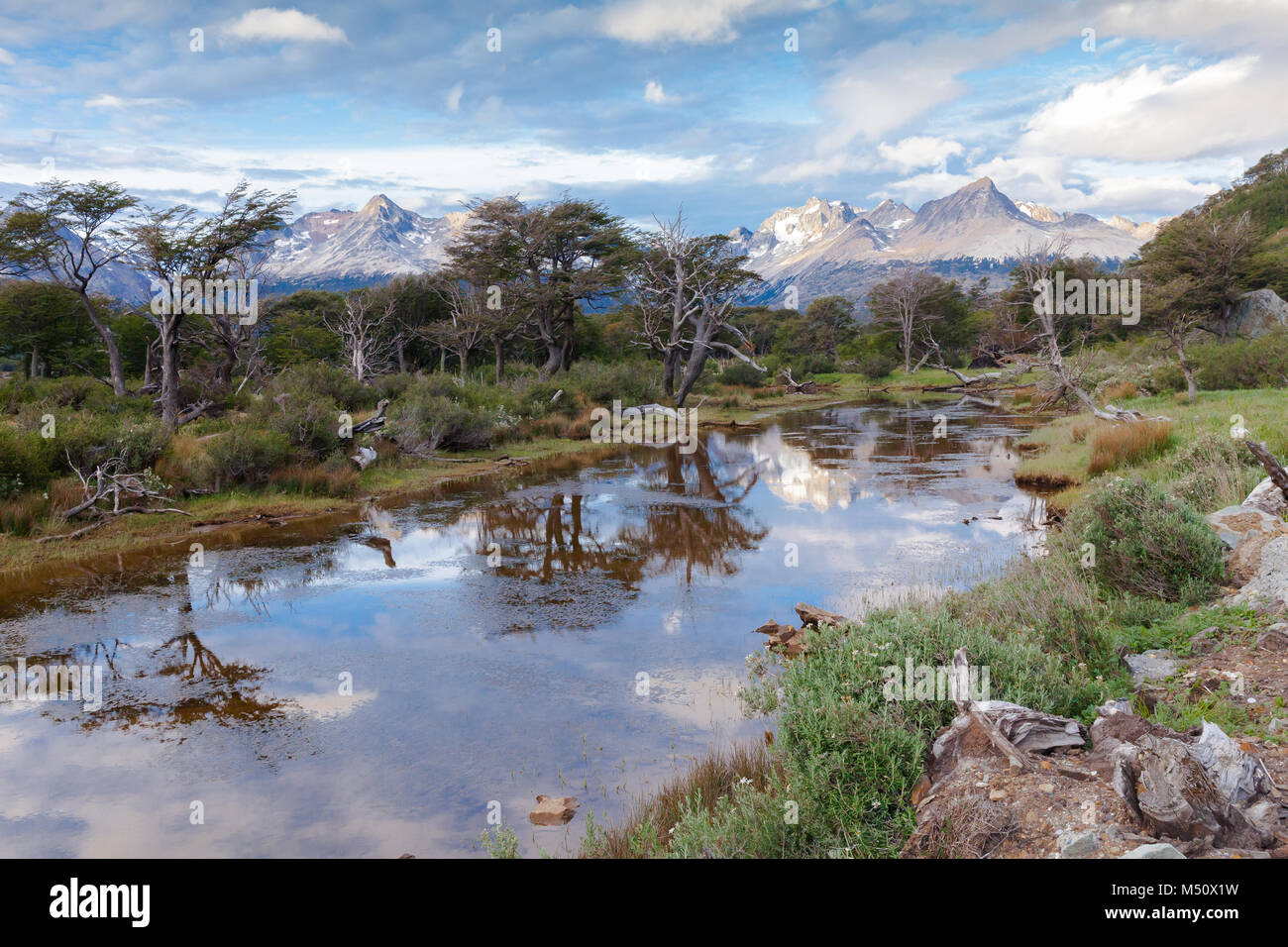 tierra del fuego national park ushuaia patagonia argentina Stock Photo