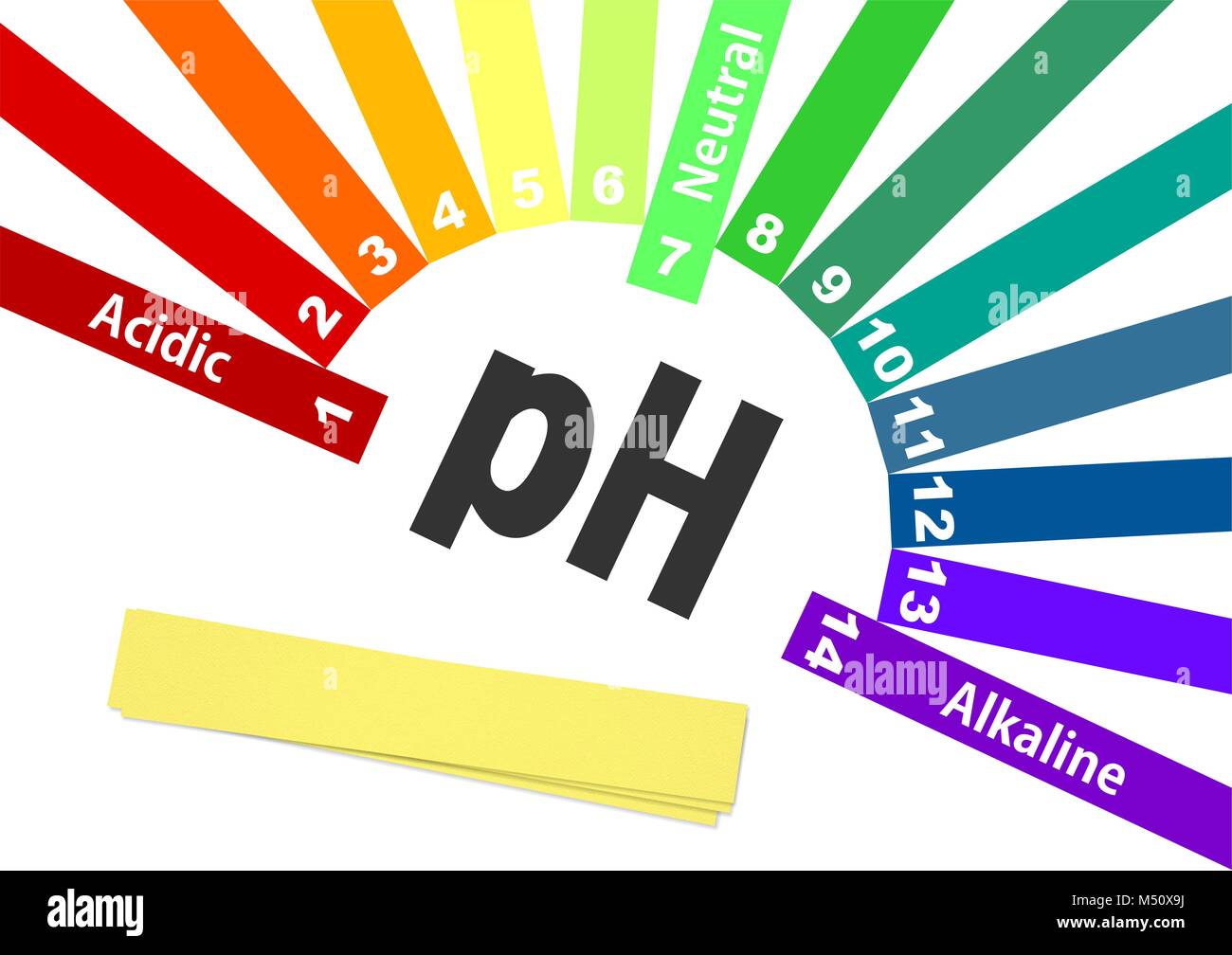 ph scale. acid-base balance. scale for chemical analysis acid base. colorful graph for test Stock Photo