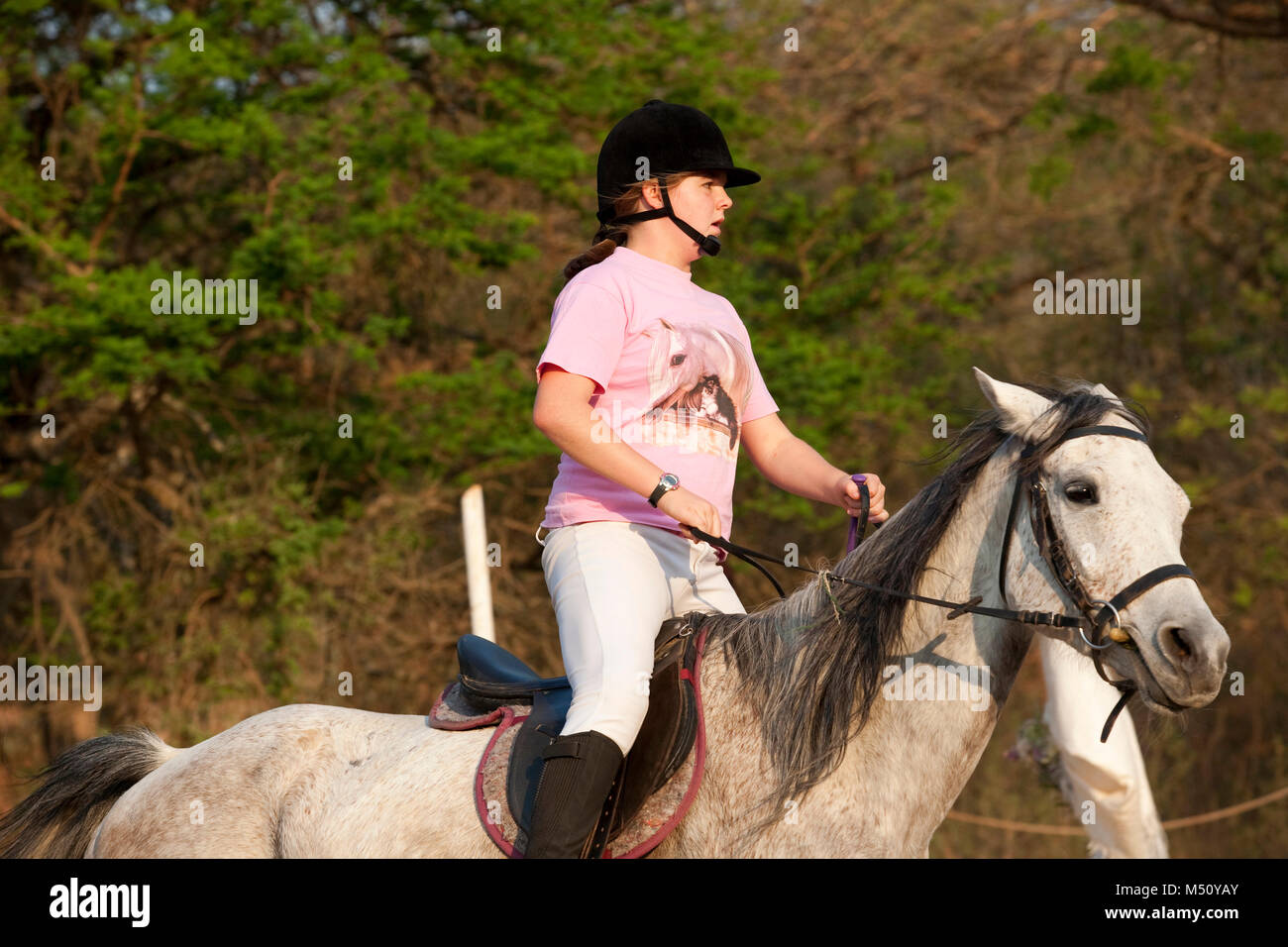 Teenage girl horse riding Stock Photo