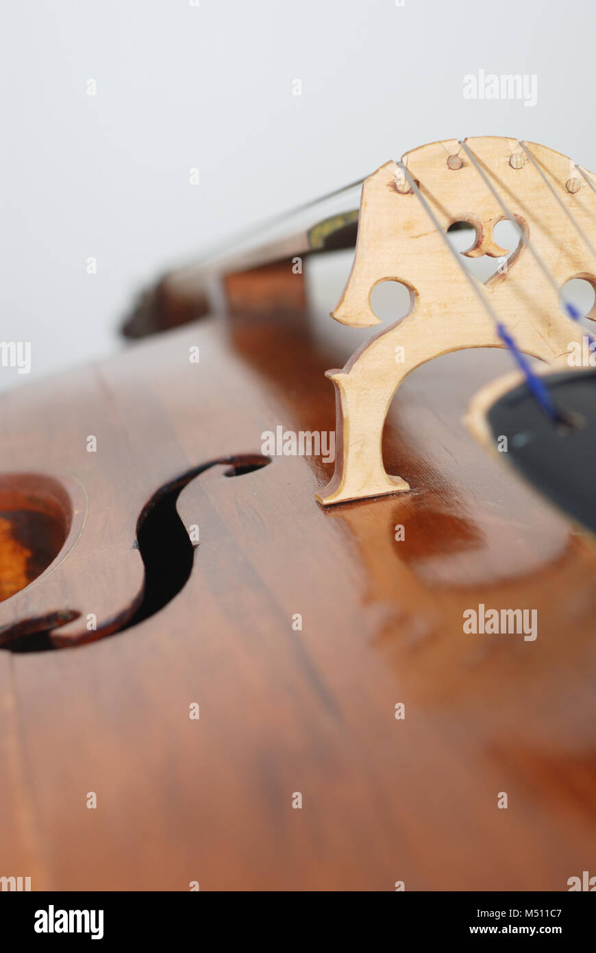 Catgut Strings High Resolution Stock Photography and Images - Alamy