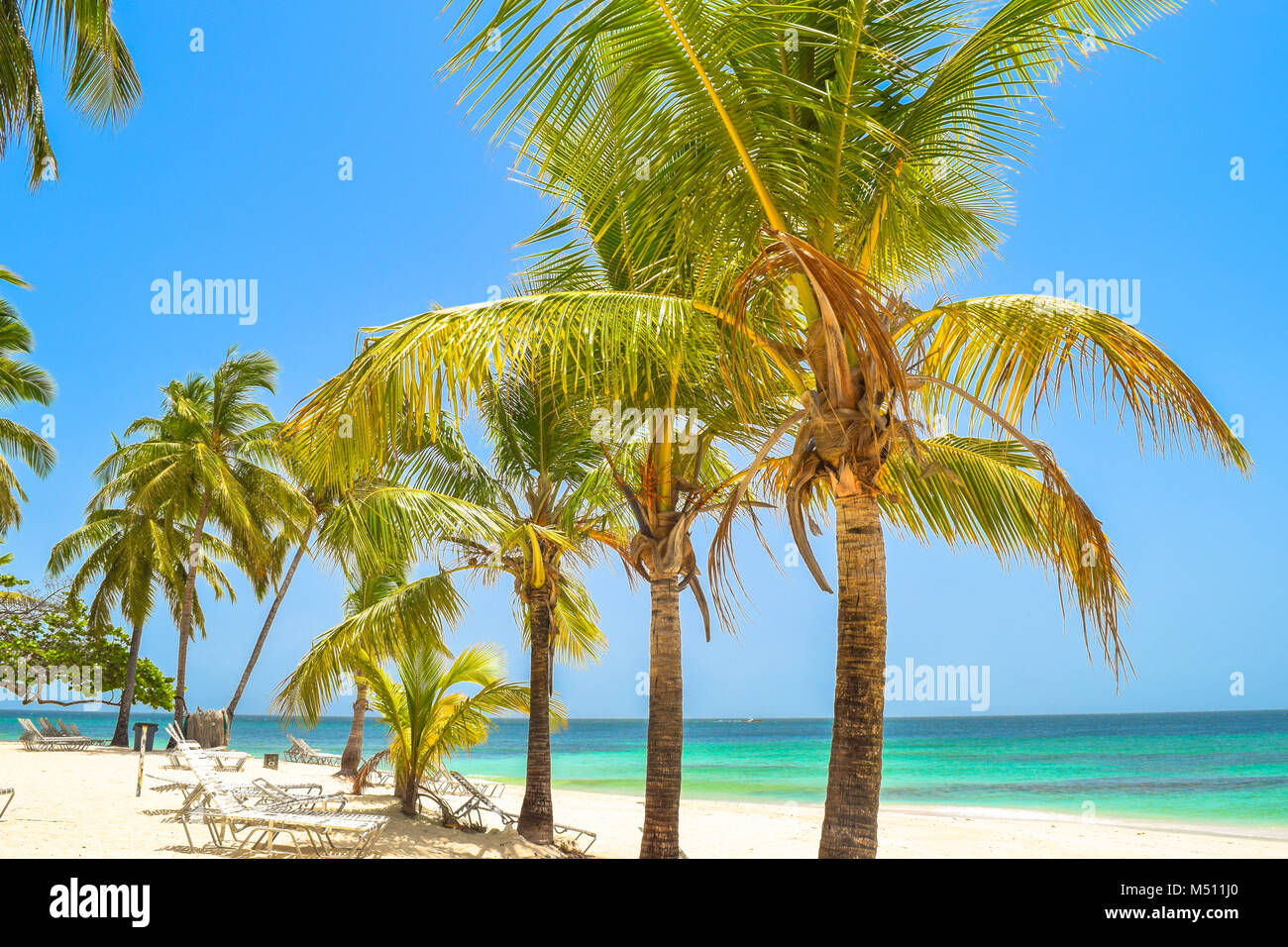 Beautiful beach with palms, sunbeds, blue sky and turquoise water, Dominican Republic, Samana, little Island in the caribbean sea Stock Photo
