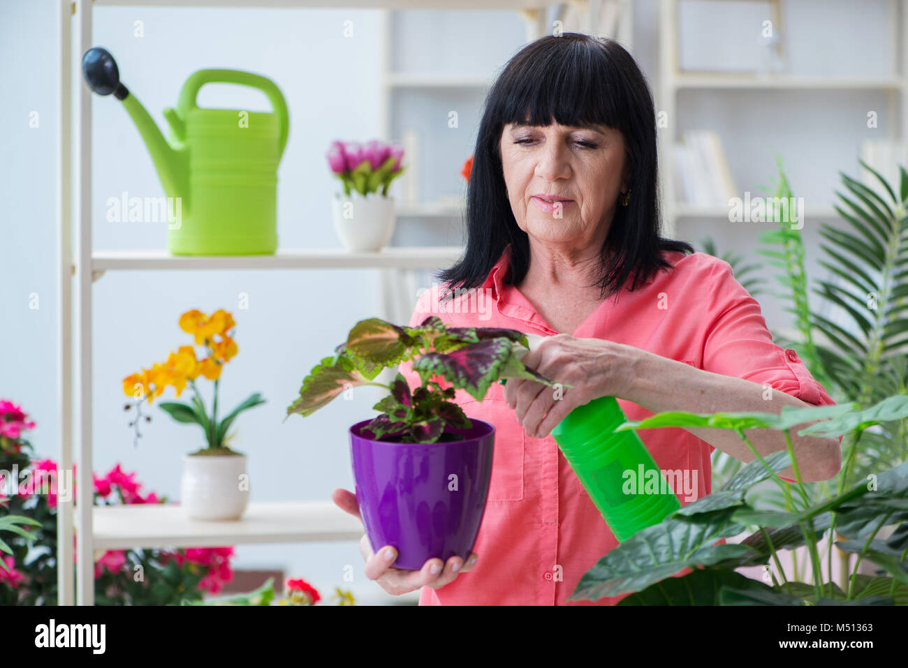 Woman florist working in the flower shop Stock Photo - Alamy