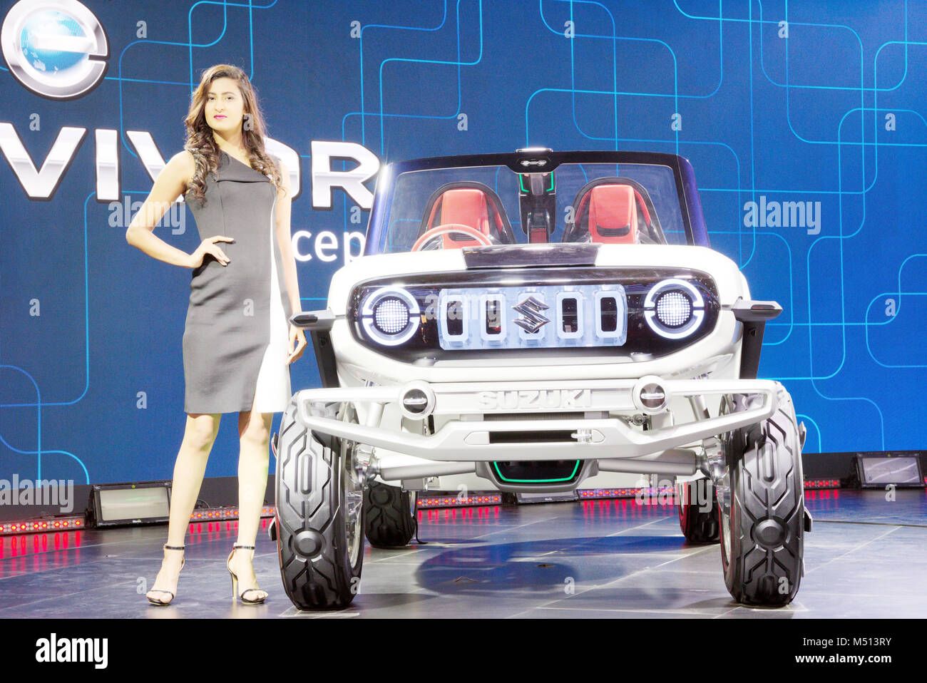 Greater Noida, India. 14th February 2018. Maruti Suzuki showcase their Concept e-Survivor car at Auto Expo 2018 in Greater Noida, India. Stock Photo