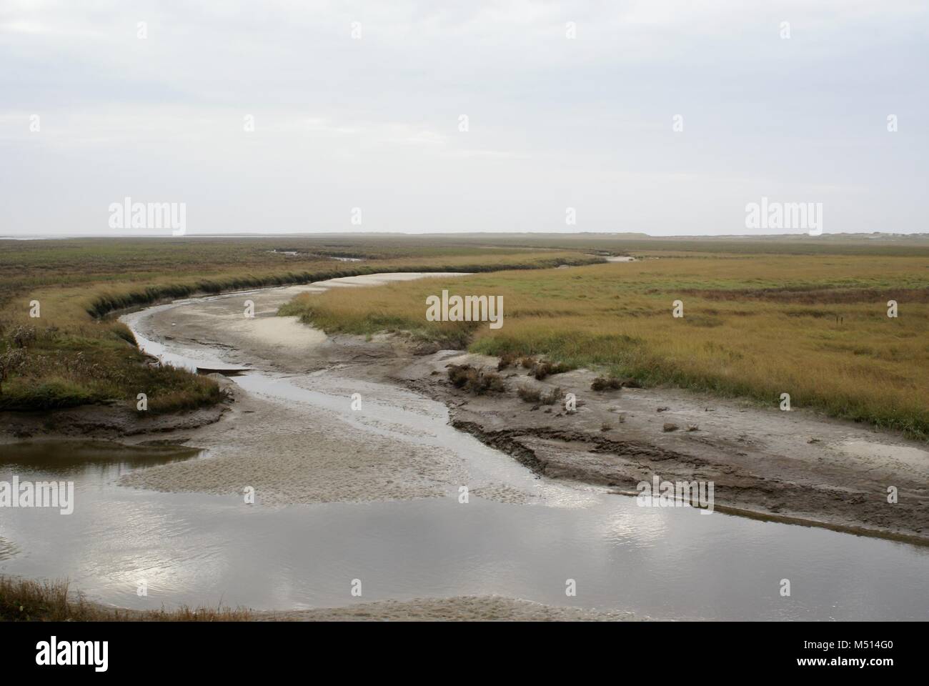 wadden sea and salt marshes in nordfriesland germany Stock Photo