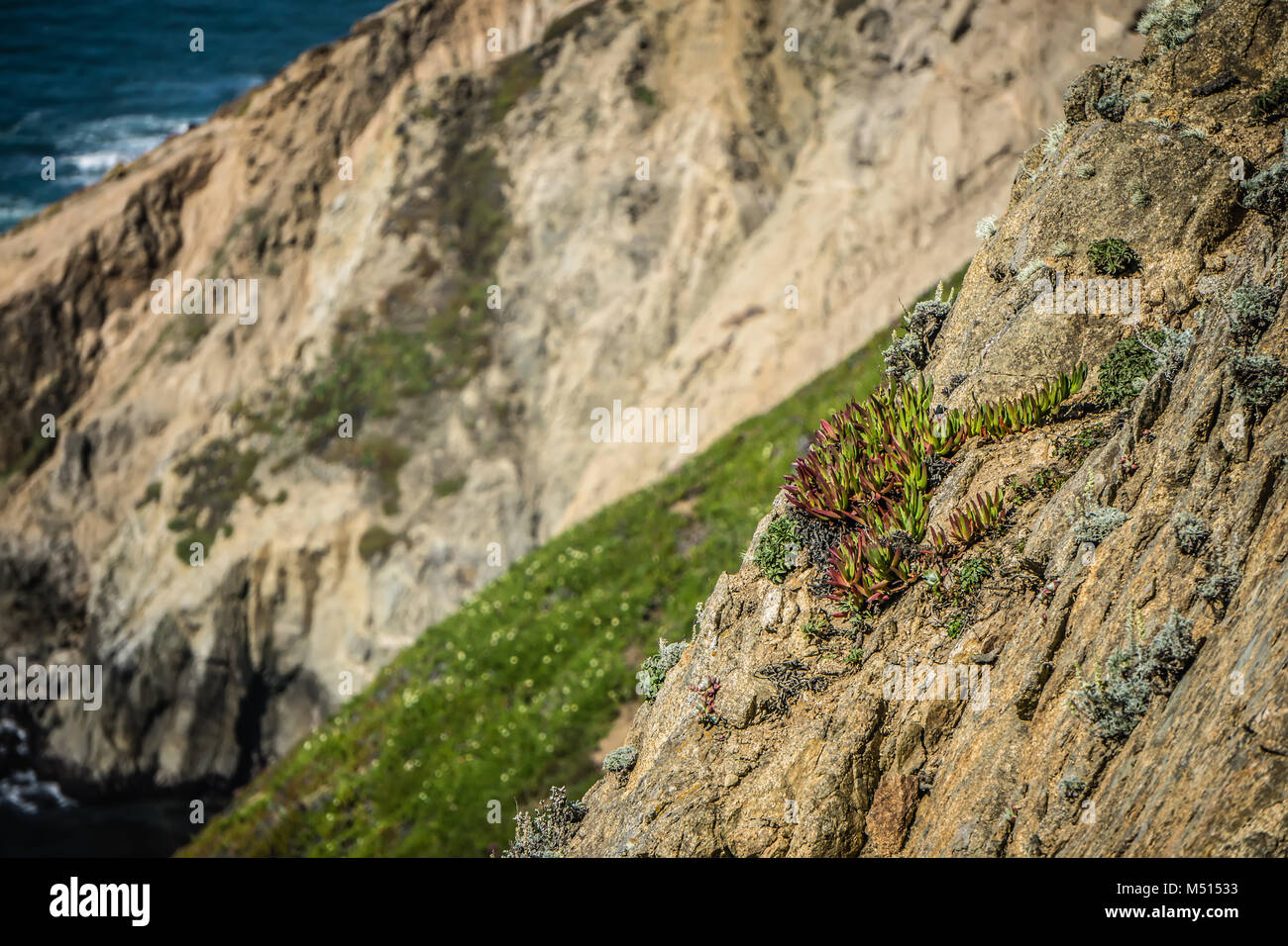 Great beach point reyes hi-res stock photography and images - Alamy