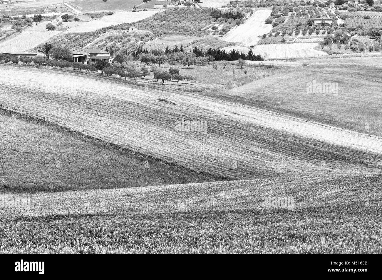 Wavy grass field Black and White Stock Photos & Images - Alamy