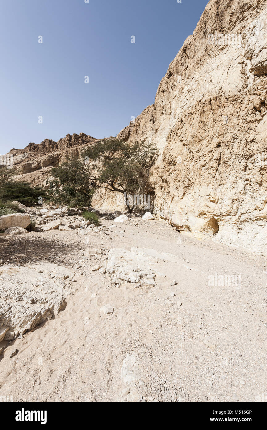 Stone desert in Israel Stock Photo - Alamy