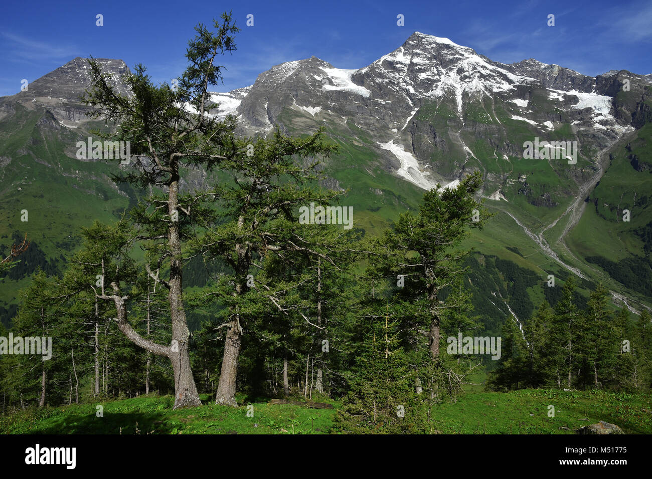Glocknergroup; alps; Austria; Europe; Stock Photo